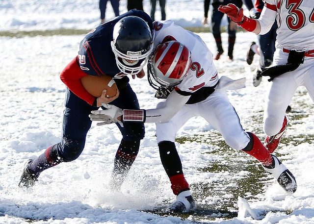来了强大动 来了强大动