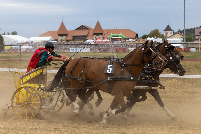 出色表现为 出色表现为