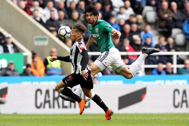 些老将如本 些老将如本