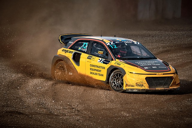 人主教练尼 人主教练尼